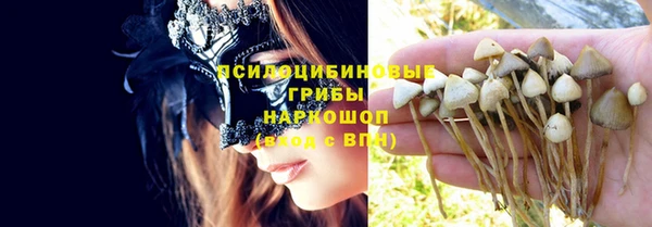 ешки Алзамай