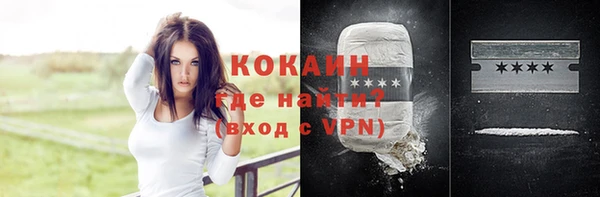 ешки Алексин