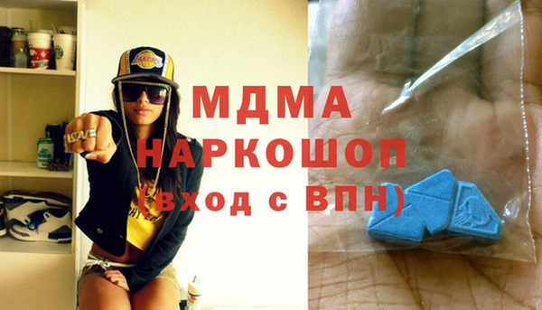 ешки Алексин