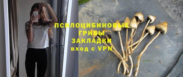 ешки Алзамай