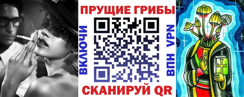 Галлюциногенные грибы Cubensis  OMG зеркало  Полысаево  дарнет шоп 