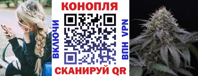 Конопля план  Полысаево 